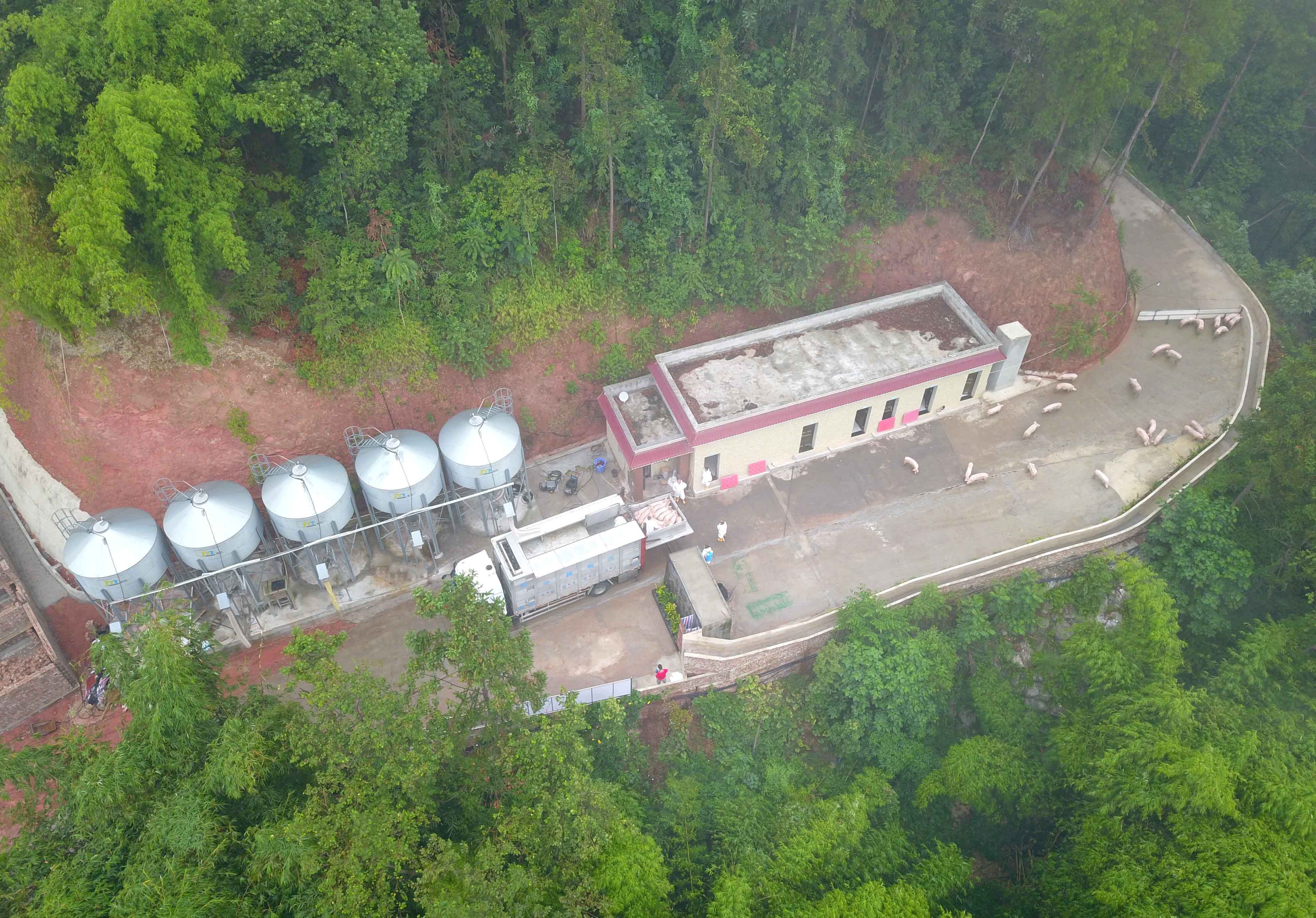 1663380959107635.jpg DJI_0068.jpg